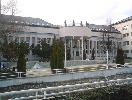 卡洛里罗伯特学院