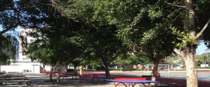 自貢第十四中學(xué)