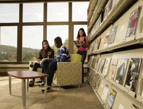 纽约州立大学技术学院阿尔弗雷德州立学院