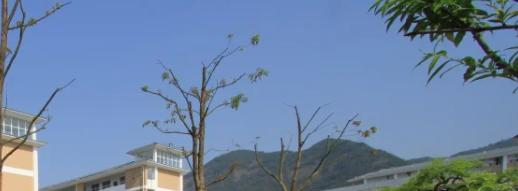 丽水职业高级中学6