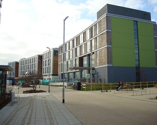安格利亚鲁斯金大学