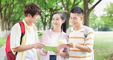 语言知识