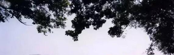 重庆万州职业高级中学