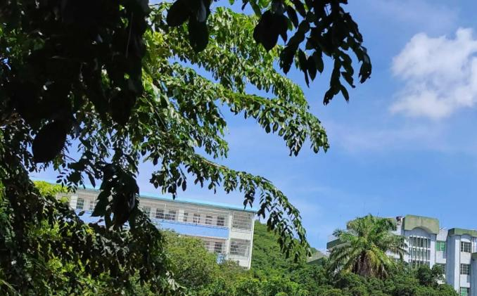 三亚市榆林八一中学历年招生分数线一览表(2023参考)