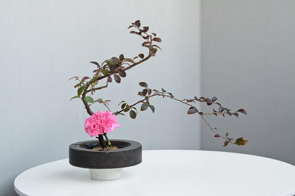 天津插花培训学校哪里好