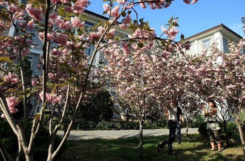 北京语言大学留学预科