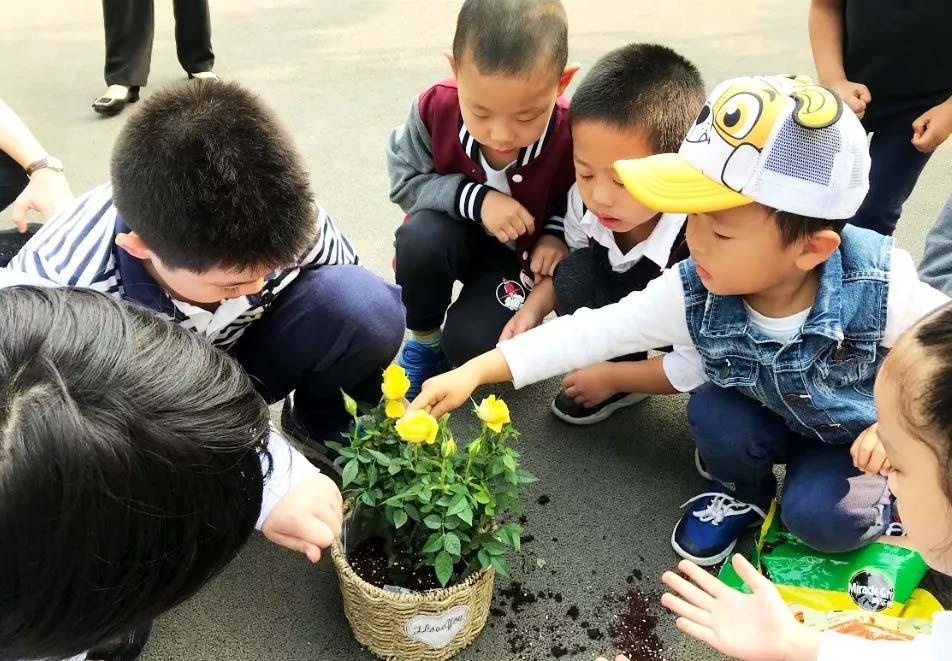 2_页面_07_图像_0001.jpg