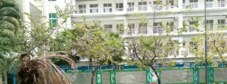 三亚市中学2023年学费、收费多少