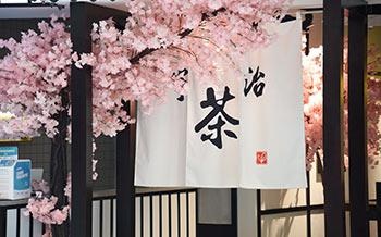 日语N1考前冲刺班