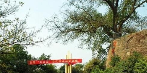 重庆教育管理学校2020年有哪些专业