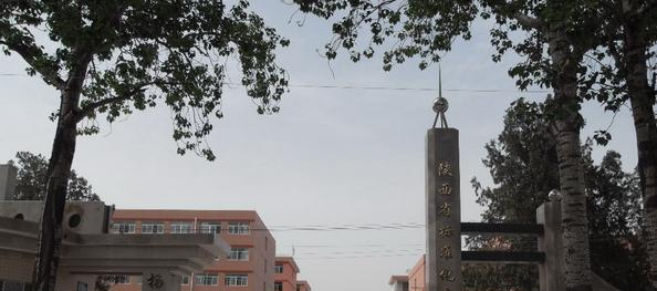  乾县杨汉中学2020年招生简章