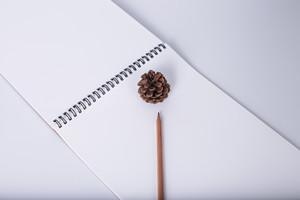 报考北京城市学院在职研究生能获得什么证书