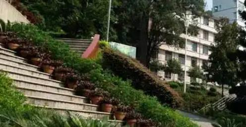 福建林业职业技术学院2022高职分类考试分数线