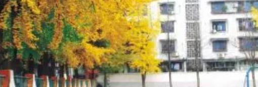 崇州市职教中心