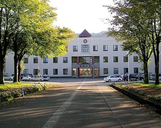 国际大学
