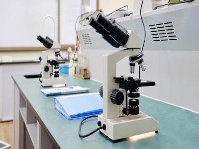深圳博纳国际学校