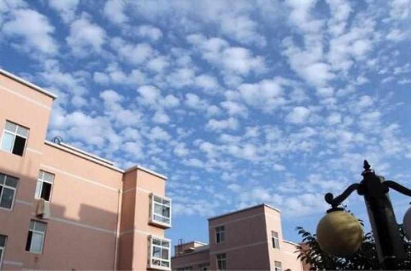 青岛科技大学留学预科