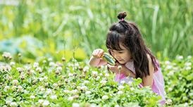 关系和谐的能力