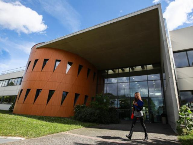 校园风采（二）