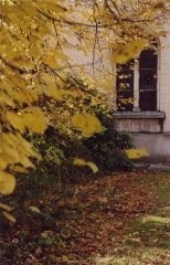 高等音乐与教育学院