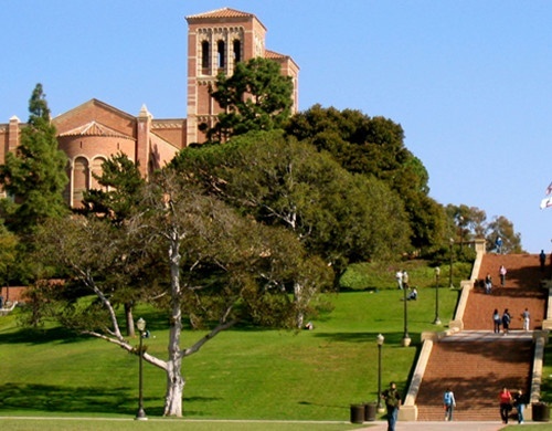 交互设计艺术留学