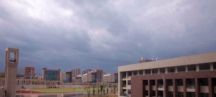 山东中医药高等专科学校2019年单招录取分数线