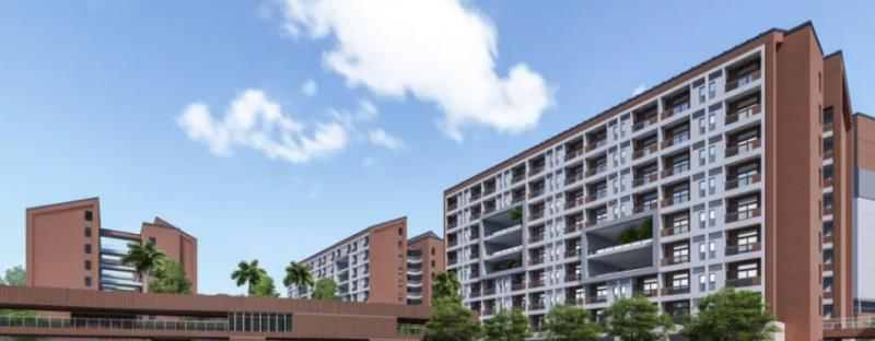 海德京华国际双语学校怎么样