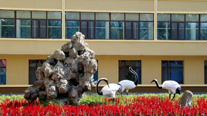 黑龙江旅游职业技术学院单招2020年单独招生报名条件、招生要求、招生对象