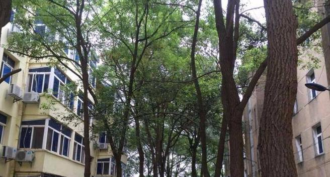 长沙麓才医药学校