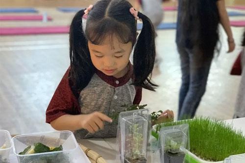 北京明诚外国语学校