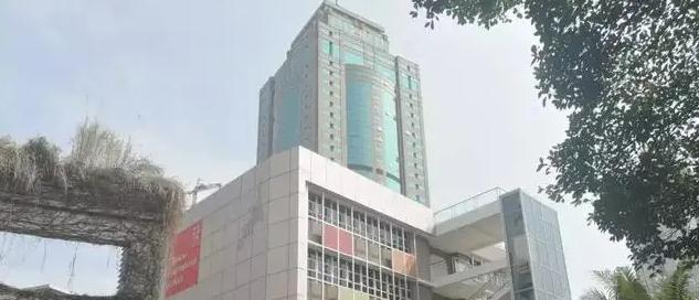 深圳蛇口国际学校小学部2023年入学条件