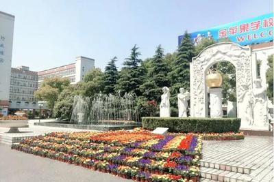 上海金苹果双语学校