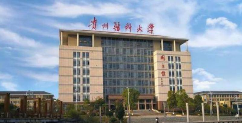 贵州医科大学是几本？是985和211吗？