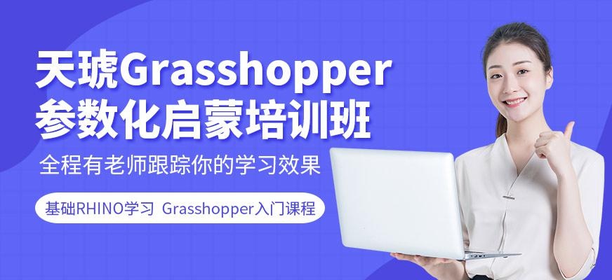 广州天琥Grasshopper(草蜢)参数化启蒙培训班