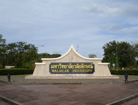 瓦莱岚大学
