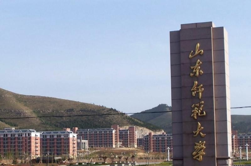 山东师范大学留学预科