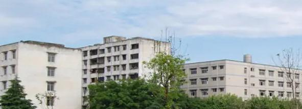 濮阳杂技艺术学校2022年招生录取分数线