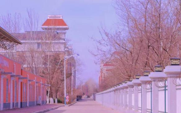 锦州医科大学医疗学院是211还是985(锦州医科大学医疗学院)