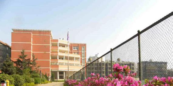 截图_20211116125516