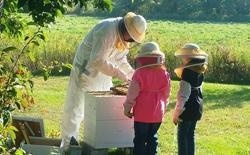 怀延斯维尔基督教学校