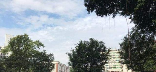 广州第十七中学2021年招生计划