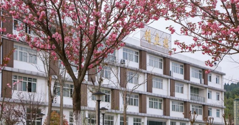 绵阳职业技术学院网站