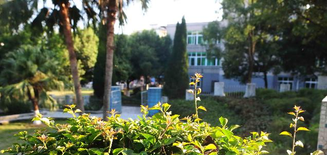 广东松山职业技术学院是几专