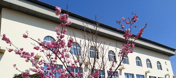 威信县职业人高级中学2020年报名条件、招生要求、招生对象