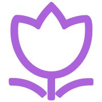 不同形态变换