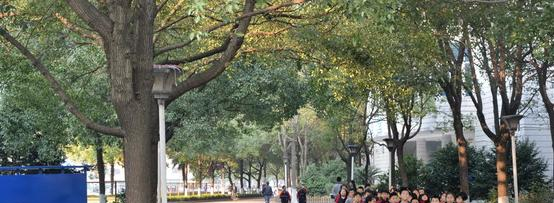 长沙麓山国际实验学校初中部2020年招生计划