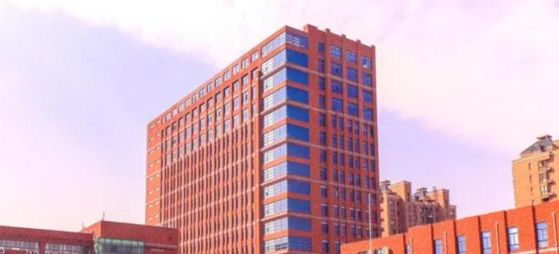 上海帕丁顿双语学校初中部2023年招生政策