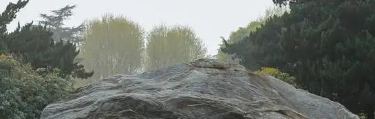 2023河海大学国内排名第几(全国第42名）