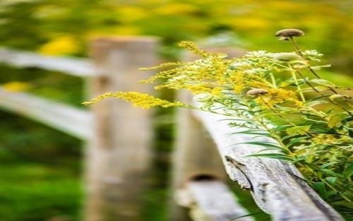 怎么可以开发小孩子的智力