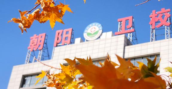 朝阳市卫生学校